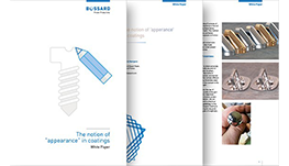 Whitepaper Notion of Appearance