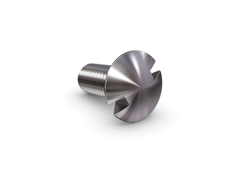 Notched screw
