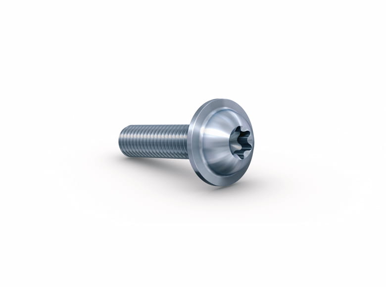 Pan head screw with flange