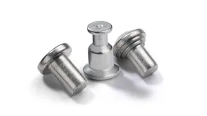 Close up of three Stanley Tucker unthreaded weld studs