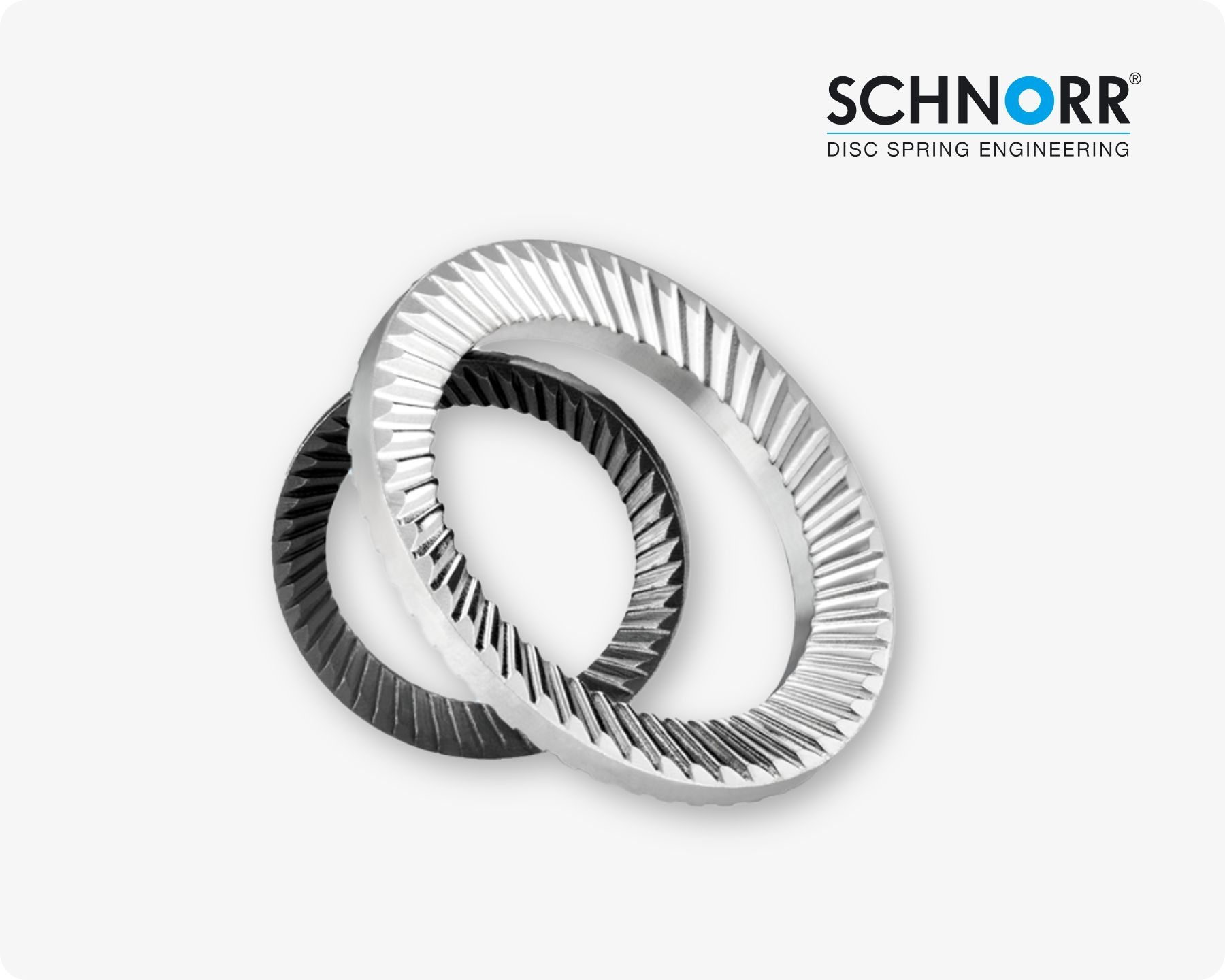 特写镜头展示两枚SCHNORR®螺栓锁紧垫圈（安全垫圈）在浅灰色背景上。
