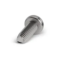 An ecosyn IMX thread forming pan head screw INOX on a white background.
