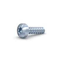 A direct assembly screw for plastics on a white background.
