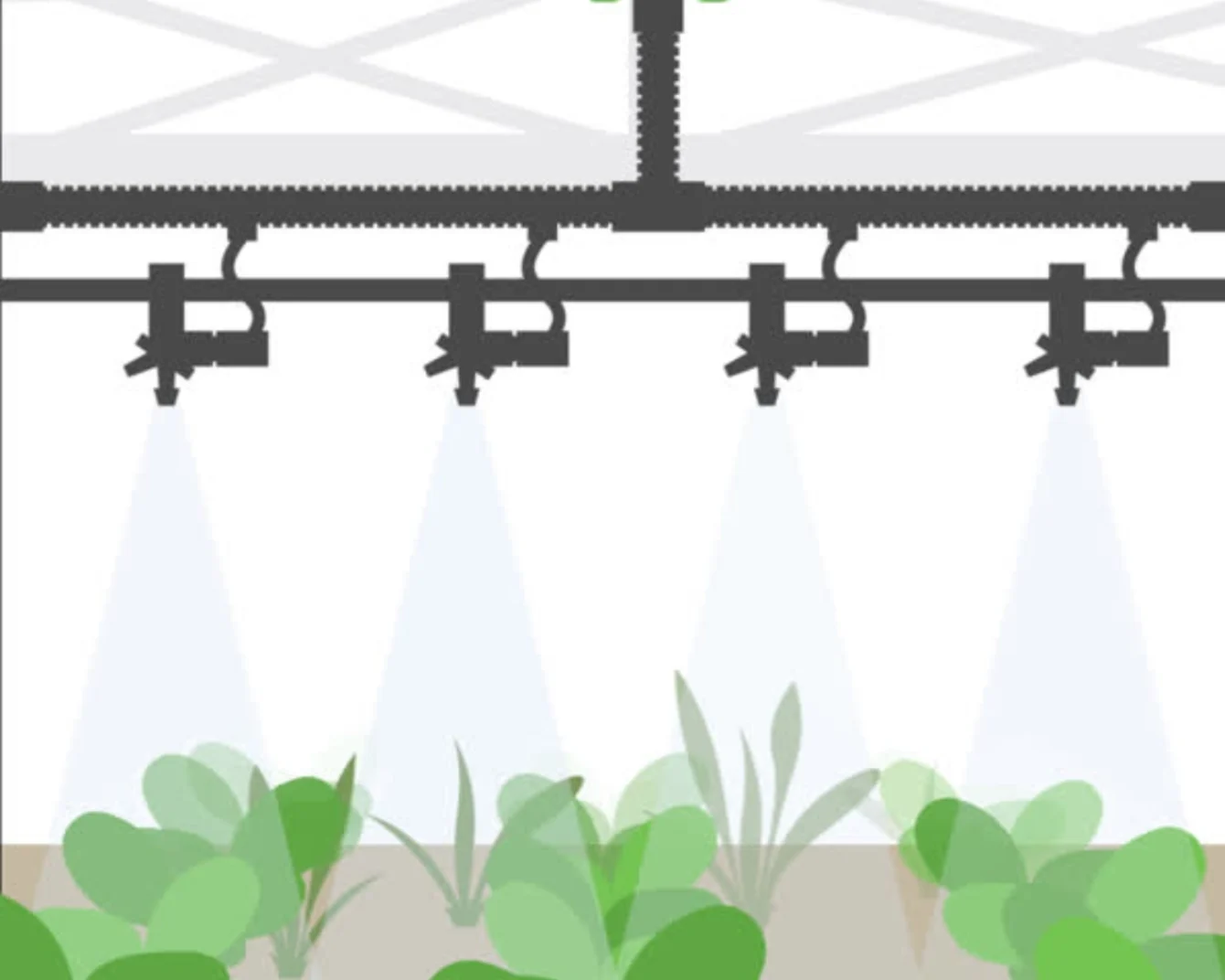 Cartoon-style weed-it system with black rail-mounted sprinklers spraying onto green plants.