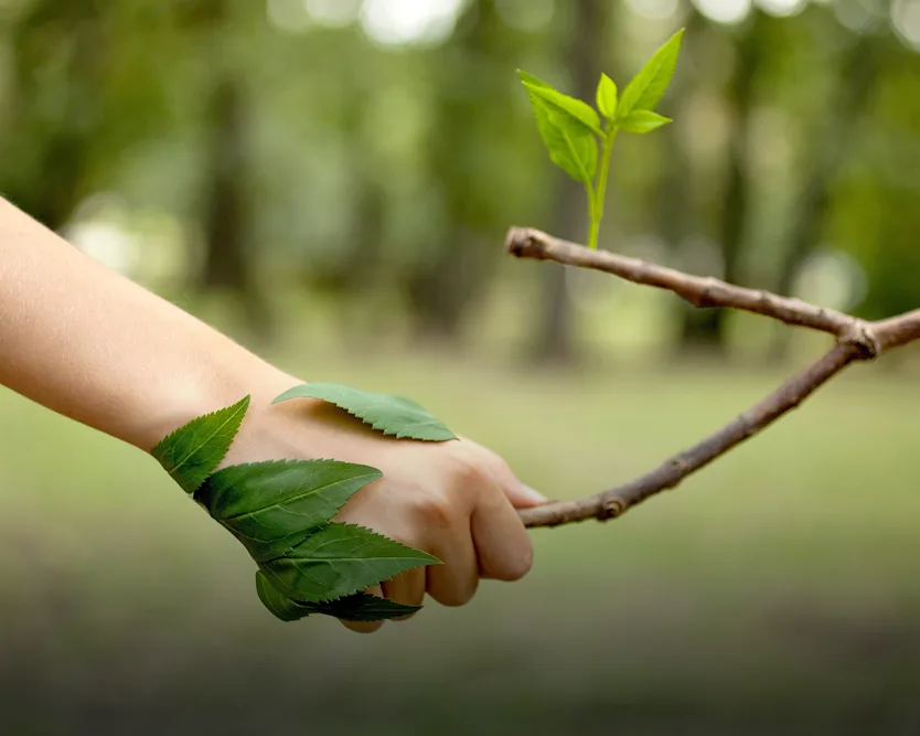 A handshake between a human hand and a branch, where the leaves wrap around the human hand, resembling a mutual handshake.