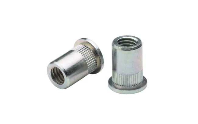 Two FASTEKS FILKO blind rivet nuts with knurled shank on white background
