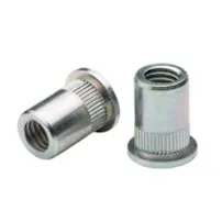 Two FASTEKS FILKO blind rivet nuts with knurled shank on white background