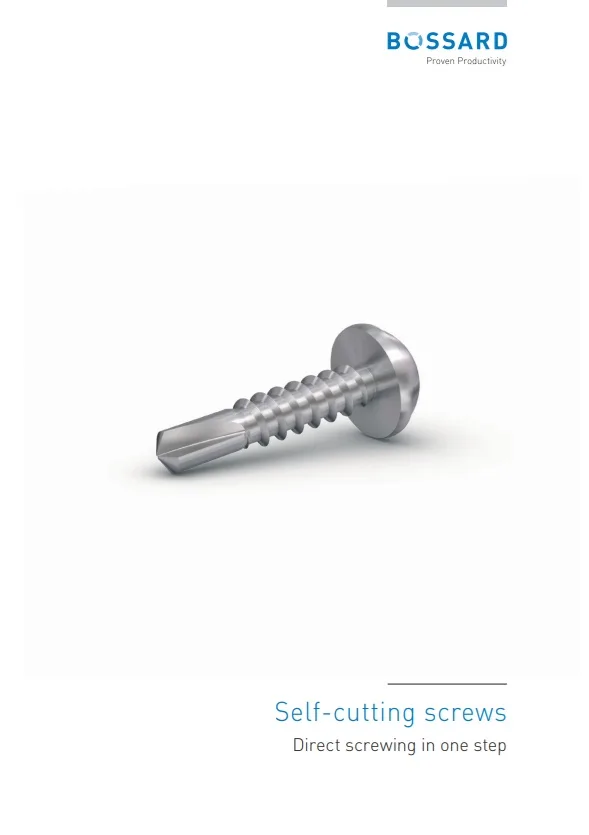 Thumbnail Self-Cutting Screws Brochure
