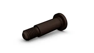 A black bearing bolt on white background