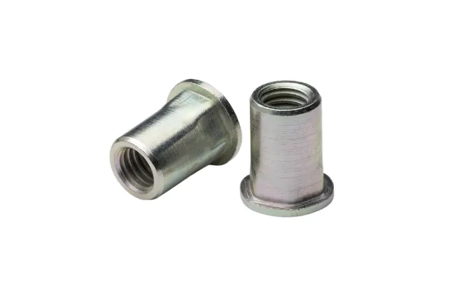 Two FASTEKS FILKO hex shank blind rivet nuts on white background