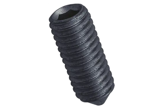BN 25 | Hex socket set screws with cone point