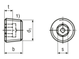 Technical drawing with dimensions of Hex socket pipe plugs pipe thread
