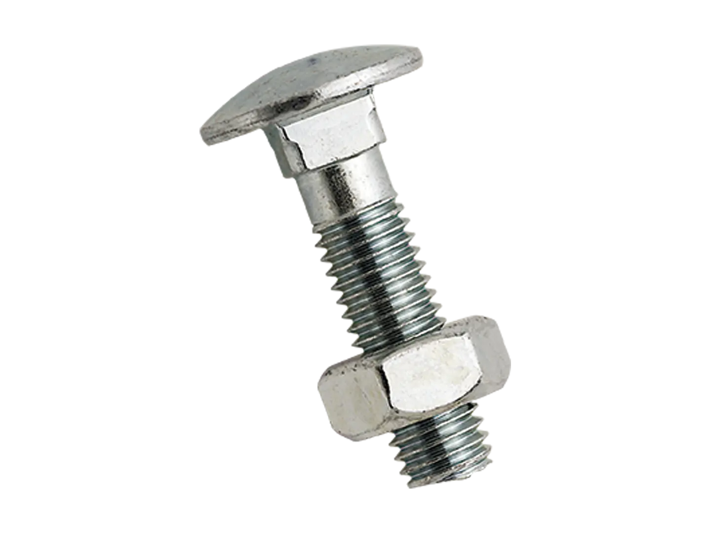 BN 248 | Round head square neck bolts with hex nut