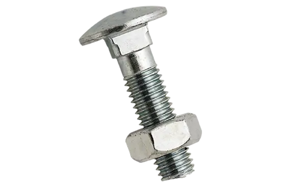 BN 248 | Round head square neck bolts with hex nut