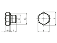 带尺寸的技术图：螺塞 管螺纹