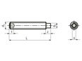 Technical drawing with dimensions of Hex socket set screws with dog point