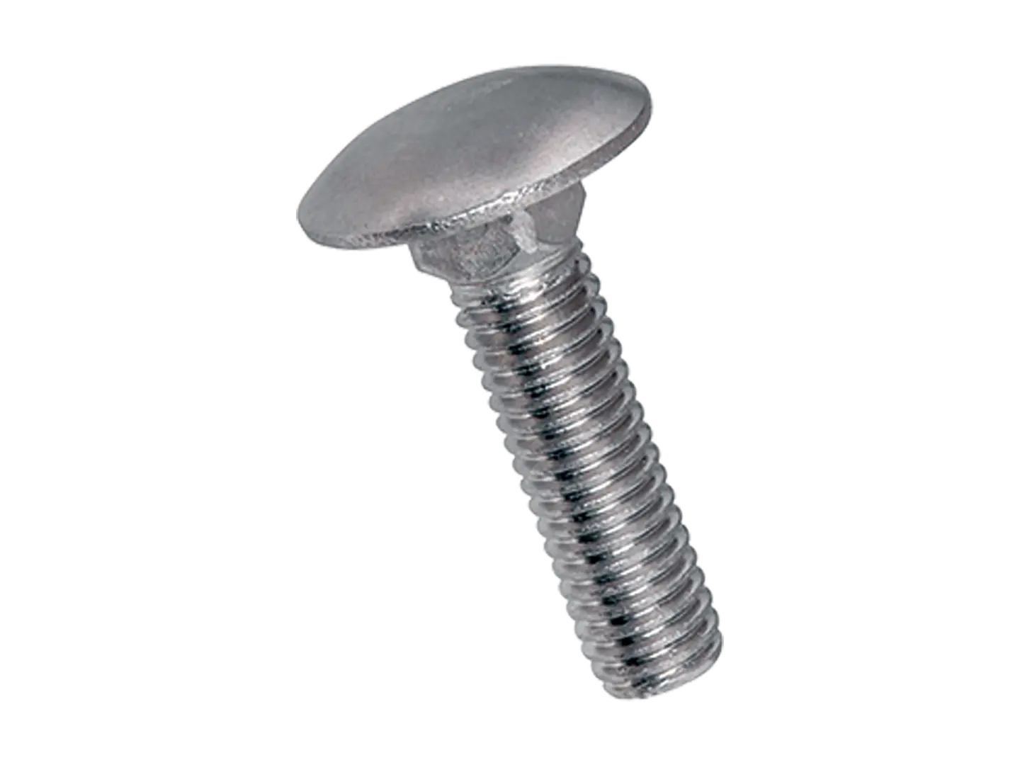 BN 645 | Round head square neck bolts without hex nuts