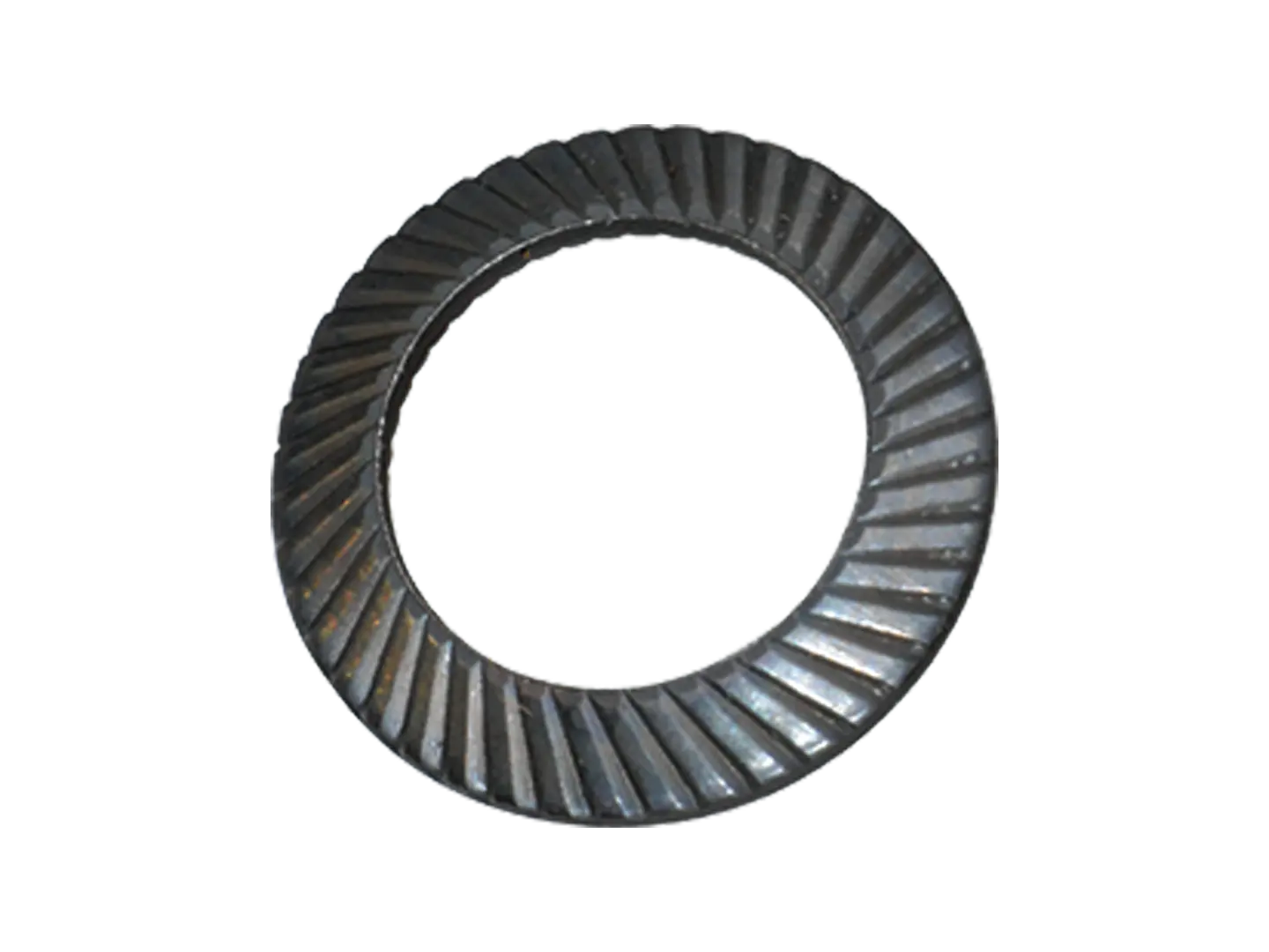 BN 791 | Ribbed lock washers