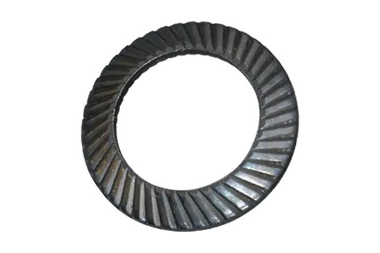 BN 791 | Ribbed lock washers