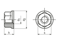 Technical drawing with dimensions of Hex flange nuts