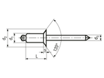 Technical drawing with dimensions of POP® TLPK...BS - Blind rivets Standard countersunk head