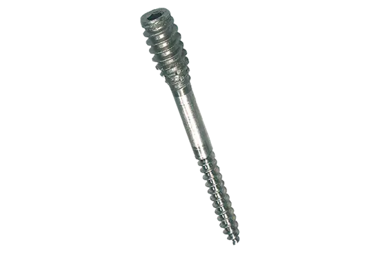 BN 948 | Spacer screws with hex socket