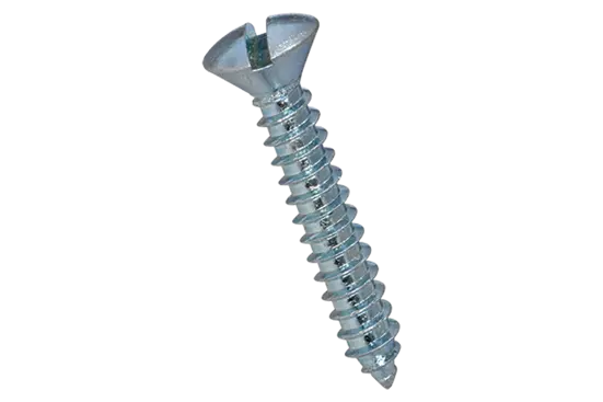 BN 991 | Slotted oval countersunk head tapping screws with cone end type C