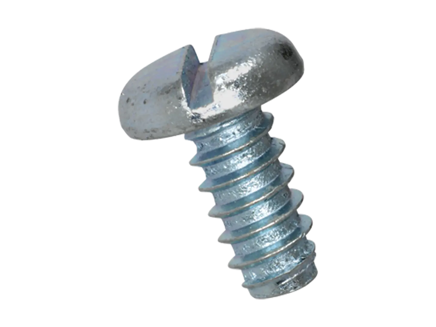 BN 992 | Slotted pan head tapping screws with flat end type F