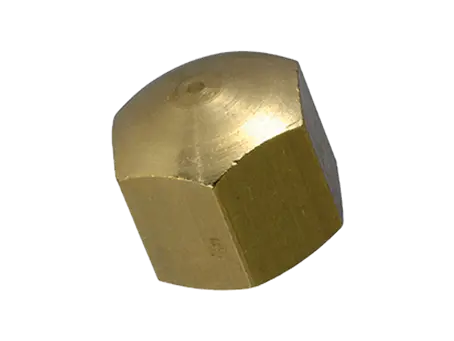 Product image of Hex cap nuts low type