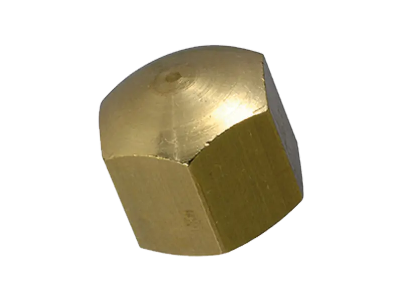 Product image of Hex cap nuts low type
