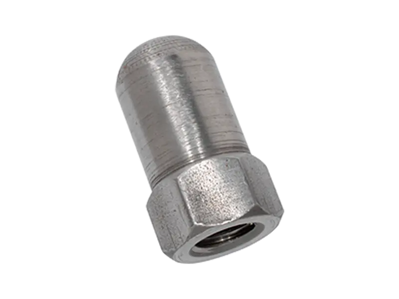 Product image of WGR Rathmann - Hex domed cap nuts for segment clamping bolts