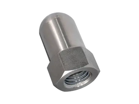 Product image of WGR Rathmann - Hex domed cap nuts for segment clamping bolts