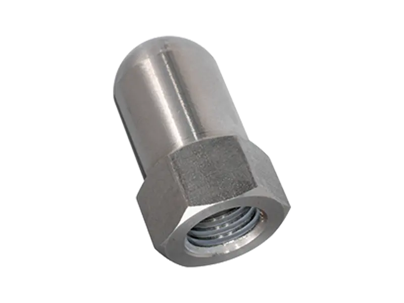 Product image of WGR Rathmann - Hex domed cap nuts for segment clamping bolts