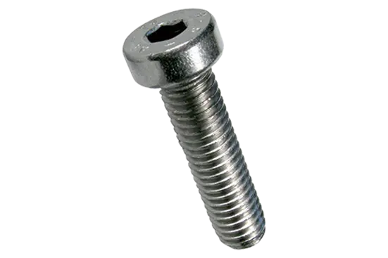 BN 2844 | Hex socket head cap screws with low head, partially / fully threaded