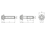 Technical drawing with dimensions of Hex head flange screws / bolts partially / fully threaded