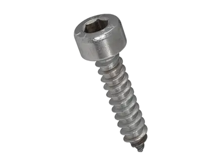 Product image of Hex socket head cap tapping screws with cone end type C