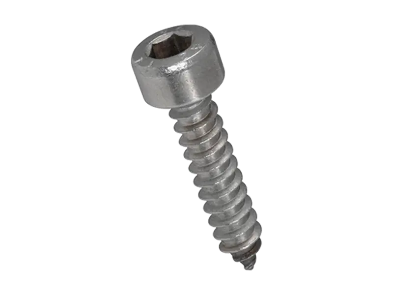 Product image of Hex socket head cap tapping screws with cone end type C