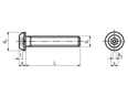 Technical drawing with dimensions of Tamper proof button head screws with hexagon socket and center pin