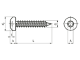 Technical drawing with dimensions of Hexalobular (6 Lobe) socket pan head tapping screws with cone end type C