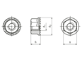 Technical drawing with dimensions of Hex nuts with flange and serrations