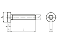 Technical drawing with dimensions of Hexalobular (6 Lobe) socket cheese head screws with low head, fully threaded
