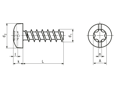Technical drawing with dimensions of ecosyn® plast - Pan head screws «Freedriv» with hexalobular (6 Lobe) socket and slot