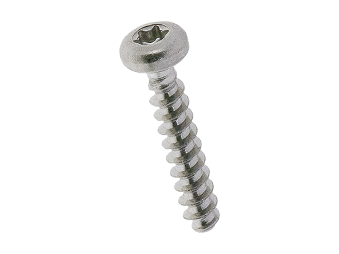 BN 20097 | Pan head screws with hexalobular socket Torx®