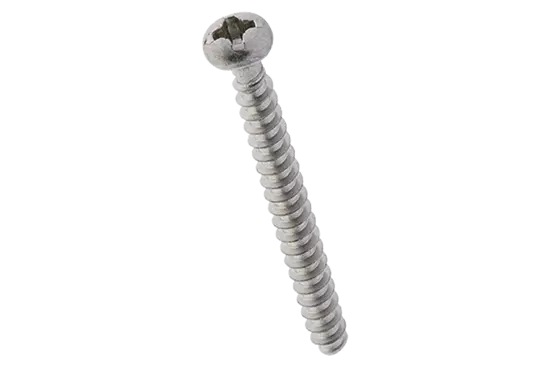 BN 20099 | Pan head screws with Pozidriv cross recess form Z