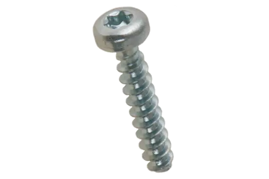 BN 20138 | Pan head screws with hexalobular socket Torx®