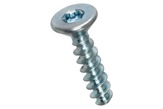 BN 20139 | Flat countersunk head screws with hexalobular socket Torx®