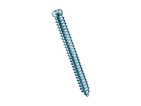 Product image of SPAX® RA - Frame anchors hexalobular (6 Lobe) cheese head T-STAR plus