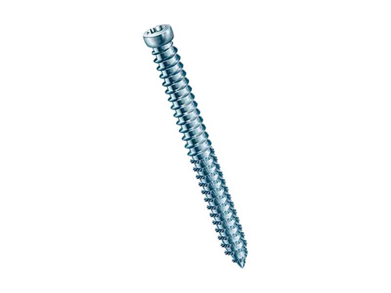 Product image of SPAX® RA - Frame anchors hexalobular (6 Lobe) cheese head T-STAR plus