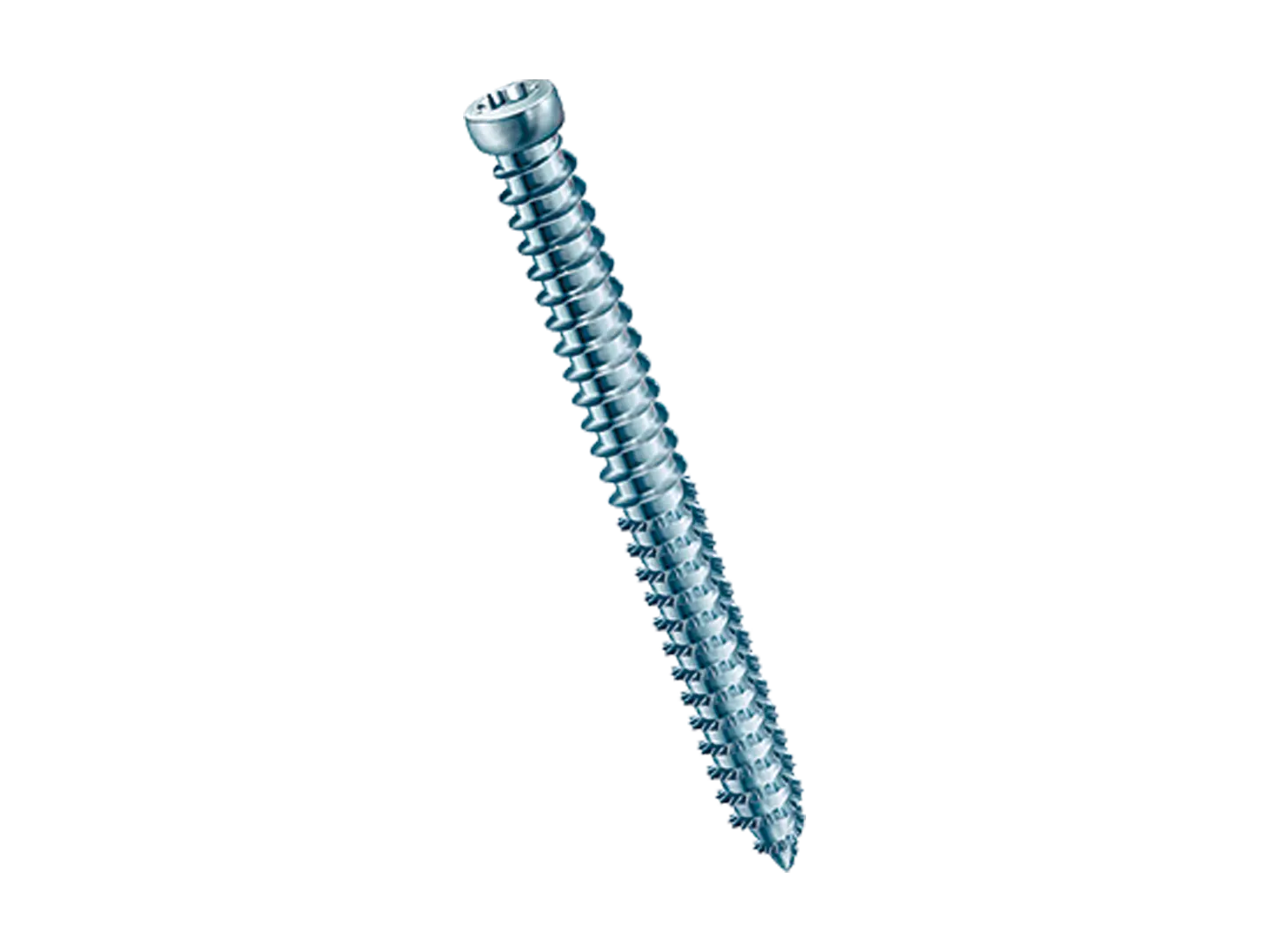 BN 20216 | Frame anchors hexalobular (6 Lobe) cheese head T-STAR plus