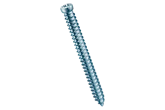 BN 20216 | Frame anchors hexalobular (6 Lobe) cheese head T-STAR plus